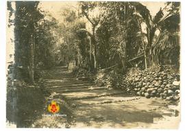 Jalan menuju Masjid Jimatan dari sebelah barat tangga makam.