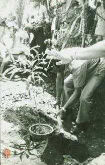 Wakil Gubernur Sri Paku Alam VIII menanam tanaman tanda gerakan penghijauan di Gunungkidul